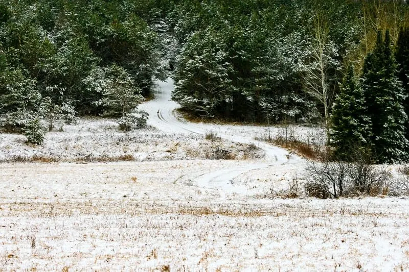 snow covered winter wisconsin landscape, Winding logging road in a Wisconsin winter