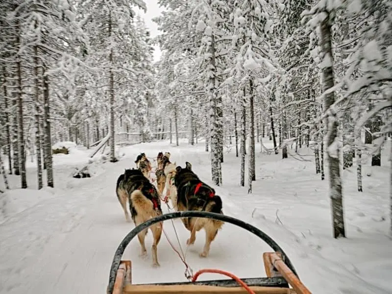 places to visit in wisconsin in winter, dog sledding in Ice fields