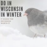 Are you looking for Wisconsin Winter Getaways or simply inspiration on things to do in Wisconsin in Winter? This guide gives the best tips on Winter Wisconsin Dells and Wisconsin travel in Winter months. You're wondering what to do in Wisconsin in winter? From snow shooing to skiing, to Winter Festivals or Christmas cabins, there are many reasons to visit Wisconsin in Winter. #wisconsin #winter #wintertravel #wintervacay #winterwisconsin #wisconsingetaways #wisconsintravel #skiing #winterfest #lakegeneva