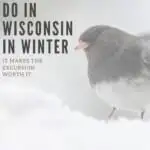 pin things to do in wisconsin in decmber and winter