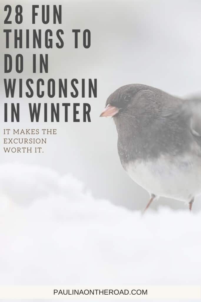 Pin for things to do in wisconsin in winter