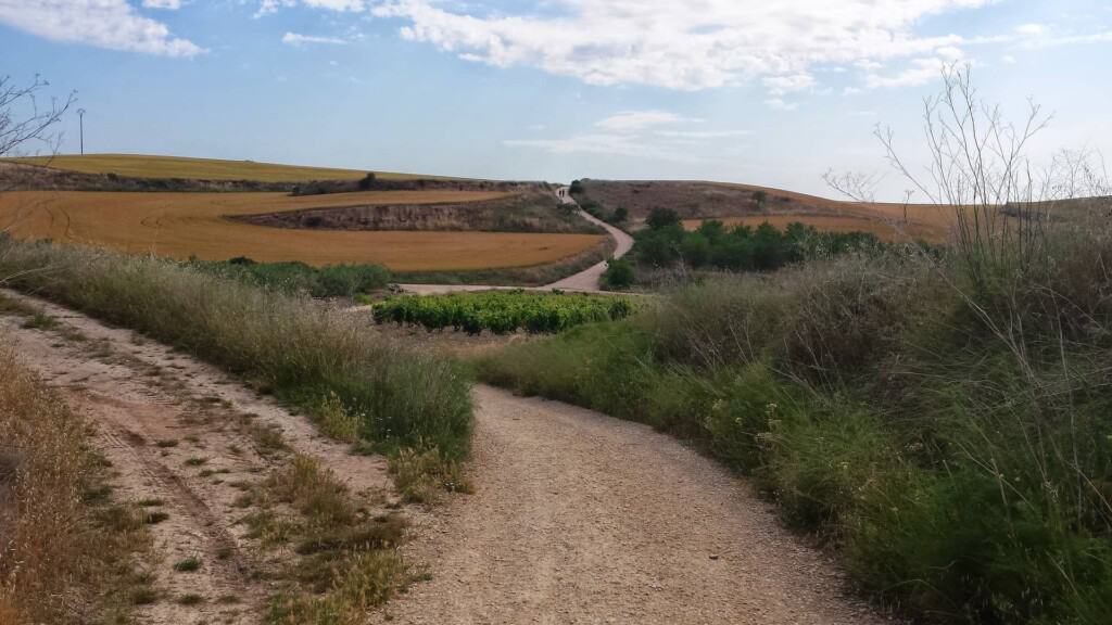 Things To Know Before Hiking Camino de Santiago Trail, Spain, hiking, trekking, guest post, travel blog, travel blogger