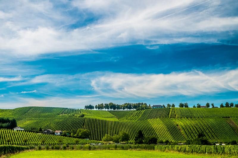 Hill s covered by vineyards along the Moselle river in Remich, Luxembourg