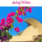 Want winter sun in Spain? Let's spend winter in Tenerife and enjoy the best traditions of Christmas in Tenerife, Spain. A local's guide to the best things to do in Tenerife during winter and Christmas time... incl. a wild New Year's Eve! #tenerife #visitspain #canaryislands #wintersun #christmasinspain #spaininwinter #winterinspain #winterholidays