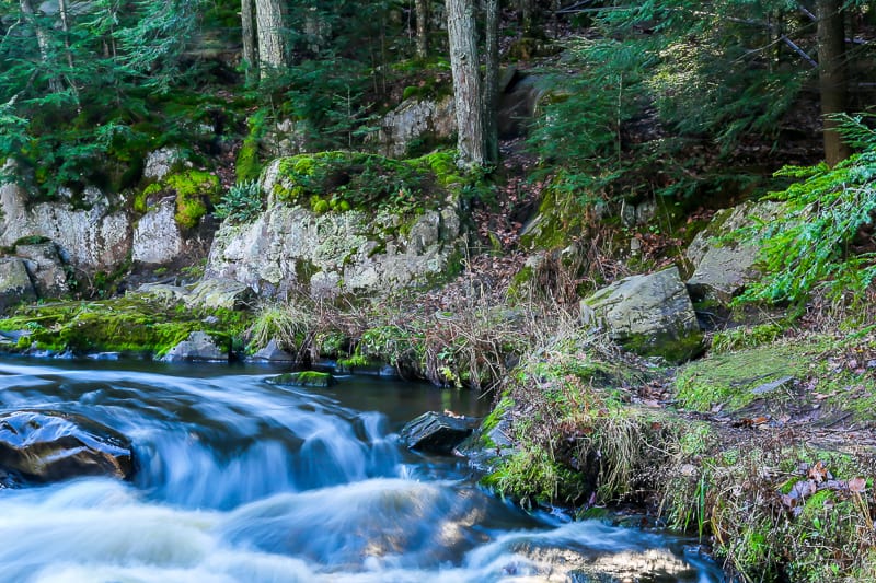 water flowing by a river during autumn at the Dells of the Eau Claire in Wisconsin