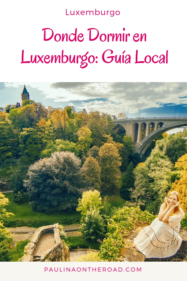 Cuales son los mejores hoteles en Luxemburgo? Esta guía de una local te cuenta donde encontrar alojamiento barato en Luxemburgo, hoteles de lujo, hostales y mas. #luxemburgo #luxemburgohoteles #viajarporeurope #viajar