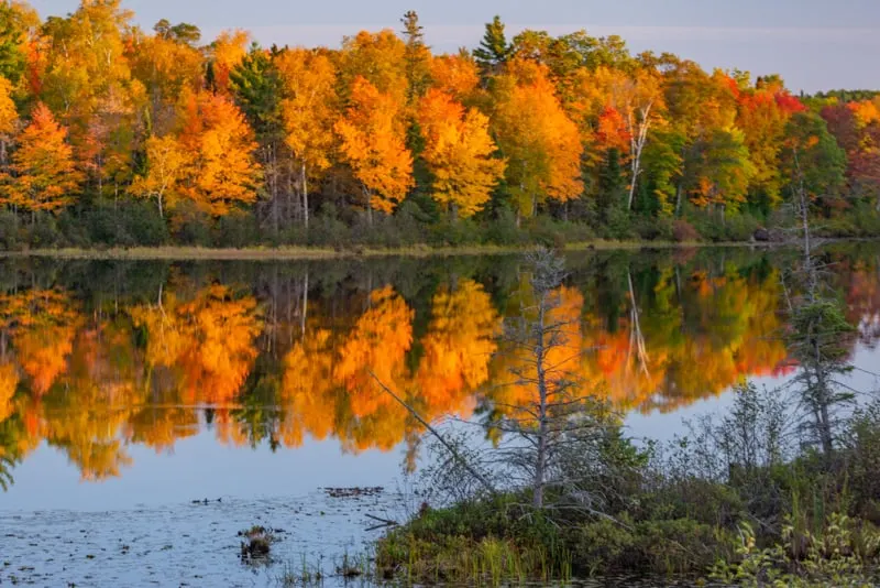 best lakes in wisconsin for fall colors, orange fall trees reflecting in lake wisconsin