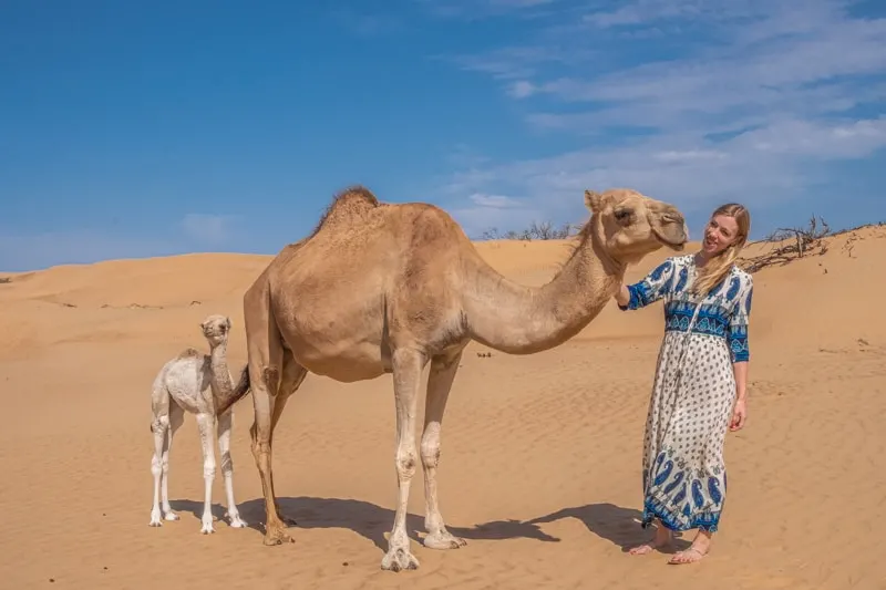 days in oman, what to do in oman, wahiba sands, oman dunes, desert camp