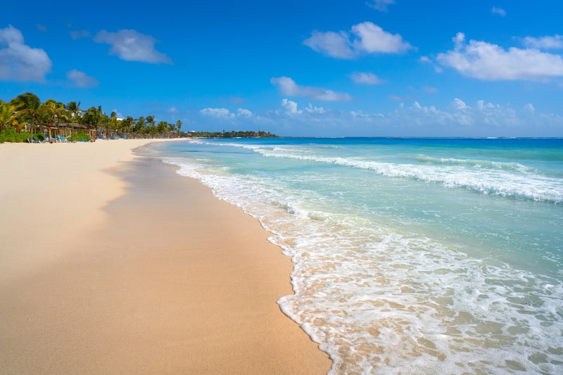 best beaches in riviera maya, palm trees,, akumal beach