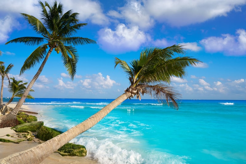 best beaches in riviera maya, palm trees,