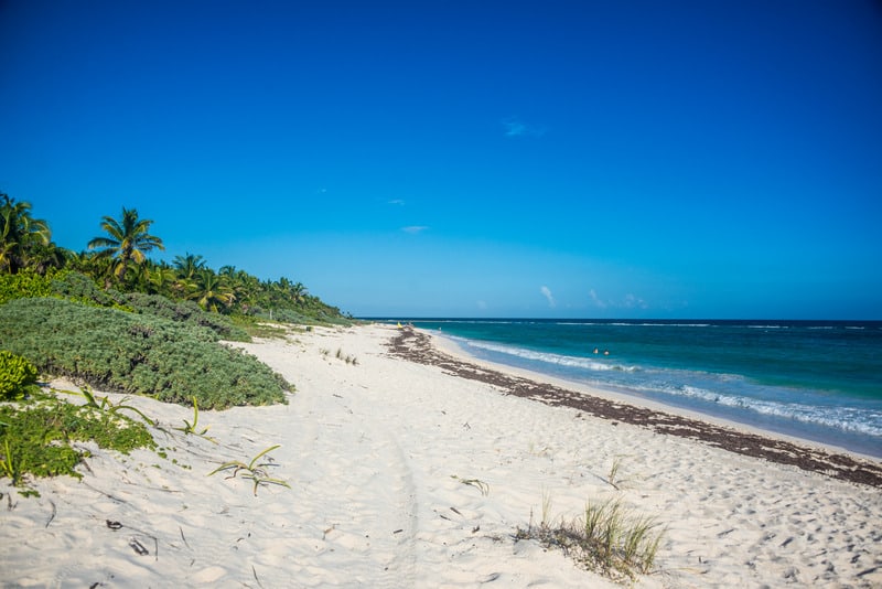 best beaches in riviera maya, palm trees,, xcacel beach, hotels, resorts