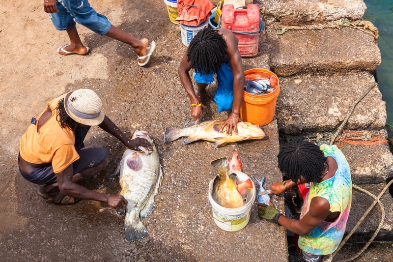 sustainable travel in sal, cape verde holidays, cabo verde