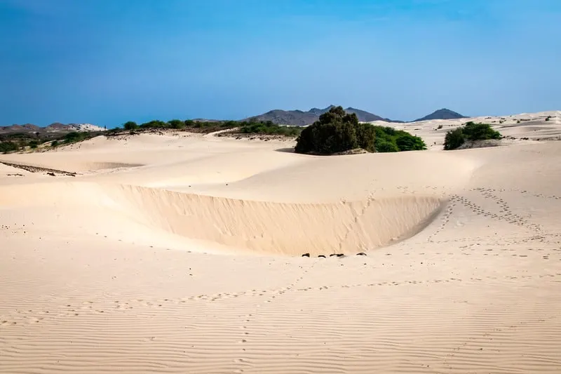 Arid sand environment of the edge of the Viana Desert, Boa Vista in front of lush green forest, Cape Verde