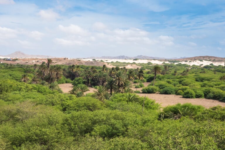 20 Choses à faire sur Boa Vista, CapVert Paulina on the road — free download
