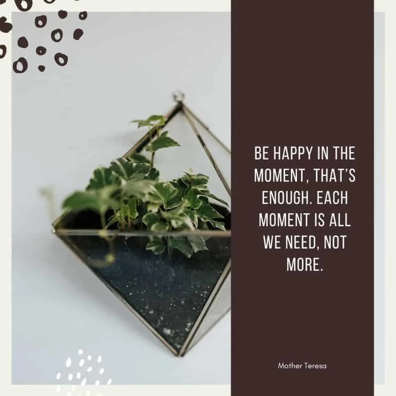 Be happy in the moment, that's enough. Each moment is all we need, not more. quote on a brown frame with a close up of a tiny plant in glass