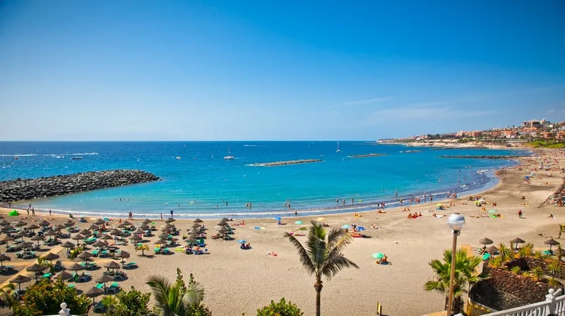 Try out the best place for families in Tenerife, Beautiful sandy beach in Adeje Playa de las Americas on Tenerife with golden white sand and many beach chairs under wide umbrellas with people enjoying the vibrant blue sea all under a wide open clear sky