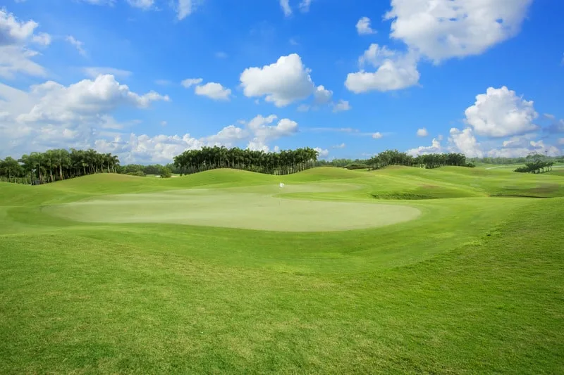 golf course, Environmentally Friendly Golf Courses 