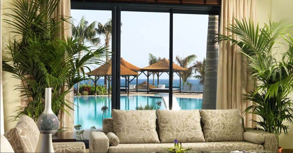 Find your favourite of the best hotels in tenerife for adults, view from inside a comfortable living area with soft sofas and green houseplants looking out through some French windows to an outdoor pool area with covered seating nearby and green palm trees behind