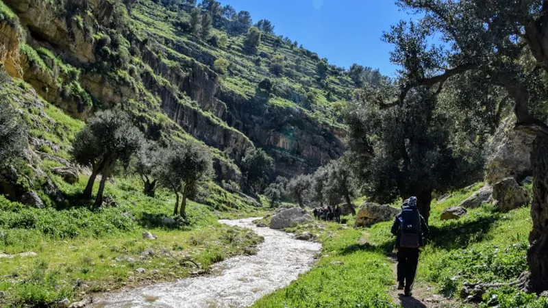 hiking trips in jordan