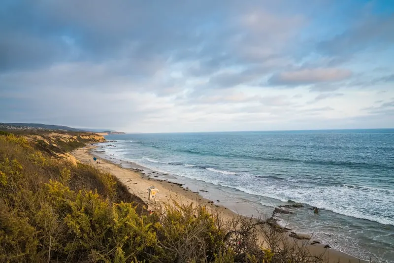 view of Newport State Park, Ellison Bay, Lake Michigan; beach with waves crashing and weeds