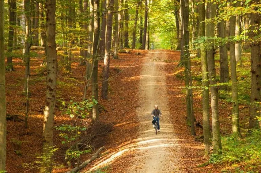 Hiking in Brussels, Cycling between the roads in the forest