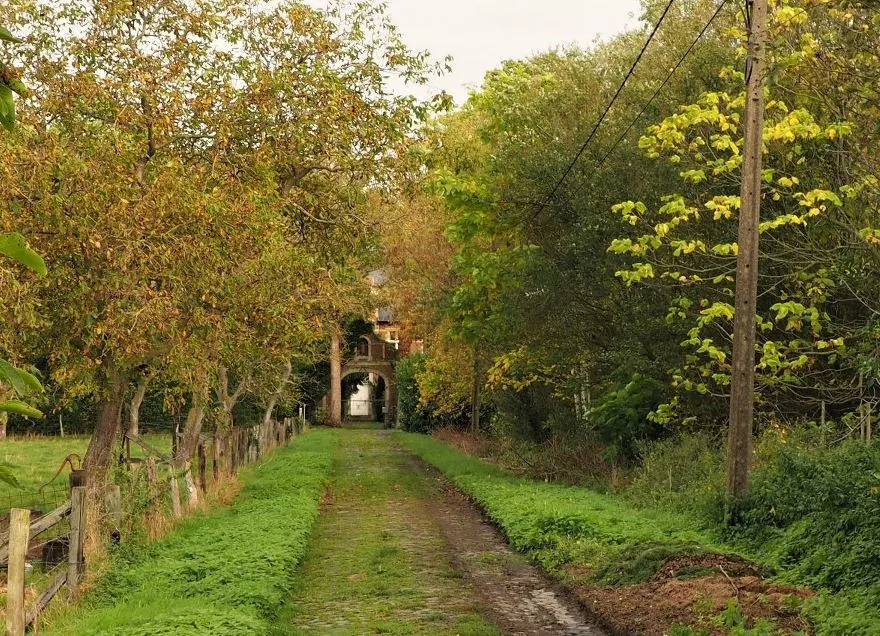 Pathway inside Parkside Cross Country Trail filled with grass and trees leading to a doorway