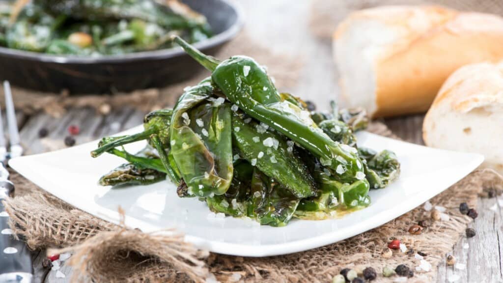 Pimientos de Padrón dish on a square white plate