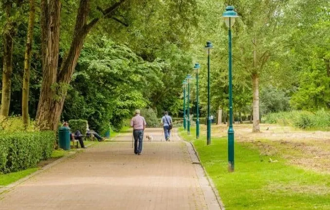 Best Difficult Level Hiking Trails near Brussels,  People walking in The Green Walk