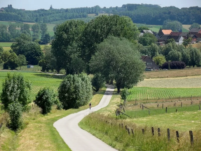 Best Hiking Trails in Belgium, A man is riding a bicycle and there is greenery all around