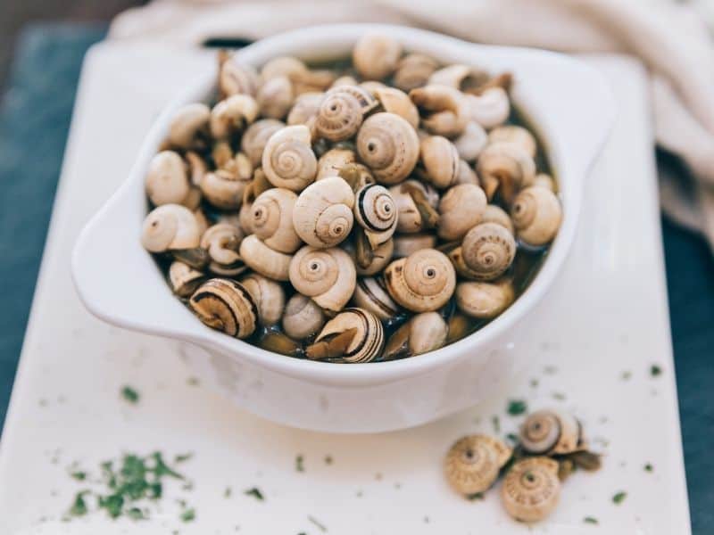 Best Spanish snacks, Caracoles – Snails