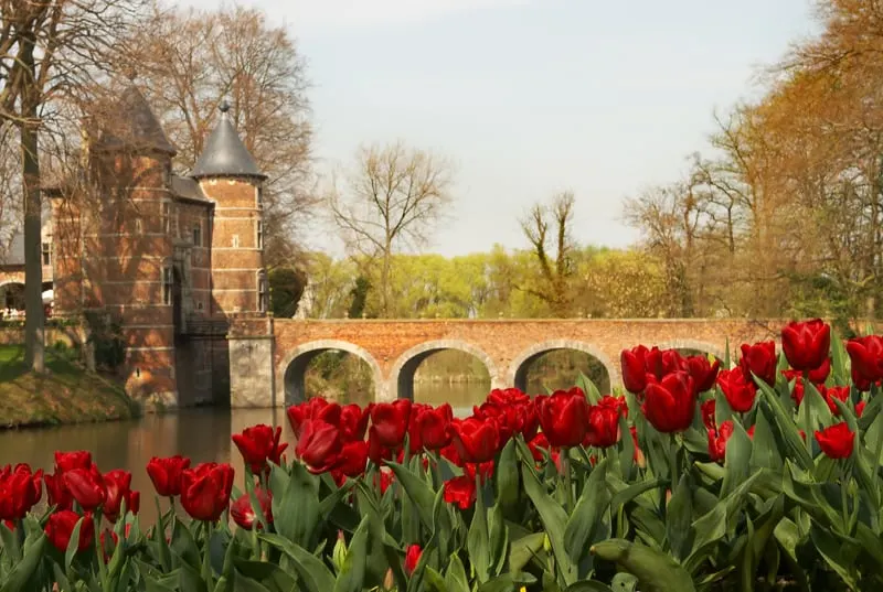 Beautiful red tulips in the castle garden of Groot Bijgaarden, Belgium, best castle garden in belgium