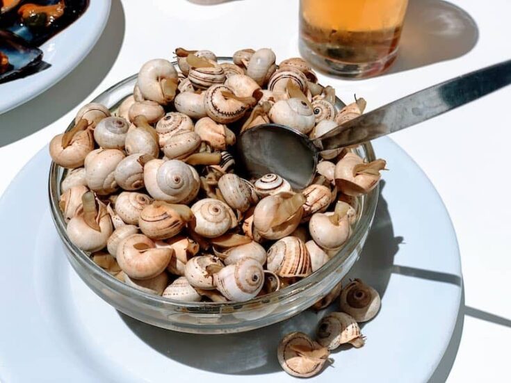 Best Spanish snacks, Caracoles – Snails