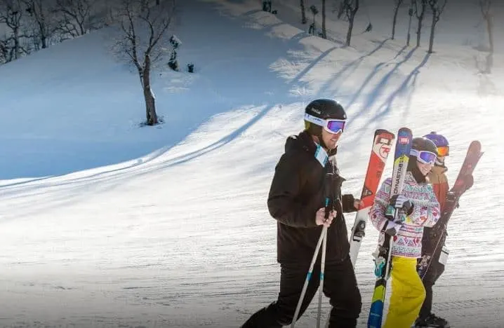 People holding with goggles their ski gears while walking on the snow with snow covered trees at the back