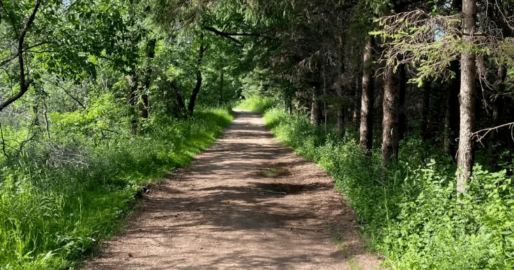 Educational and fun things to do in Appleton, view of long dirt pathway in the Gordon Bubolz Nature Preserve with green grass and trees to either side with sunlight streaming through the branches