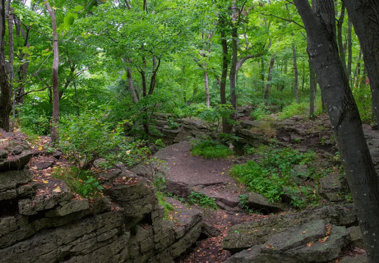 Enjoy these Appleton areas of the best state parks in Wisconsin, view of quiet area of High Cliff State Park with some stone walls and pathways surrounded by lush green trees and shrubs