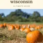 Are you looking for unique Wisconsin fall trips? Why not head to one of the coolest Wisconsin fall festivals this year? Whether you love Apple Fests, Cranberry Festivals or good ol' Oktoberfests in Wisconsin, there are plenty of fall events to choose from in Wisconsin. Surrounded by the most gorgeous Wisconsin fall foliage colors, learn about the cultural and historic heritage of Wisconsin at these fun fests. Perfect for families in Wisconsin too! #wisconsin #wisconsinfall #fall #fallfestivals