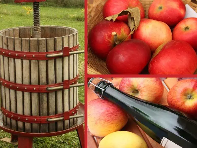 door county fall festivals, cider festival in Wisconsin