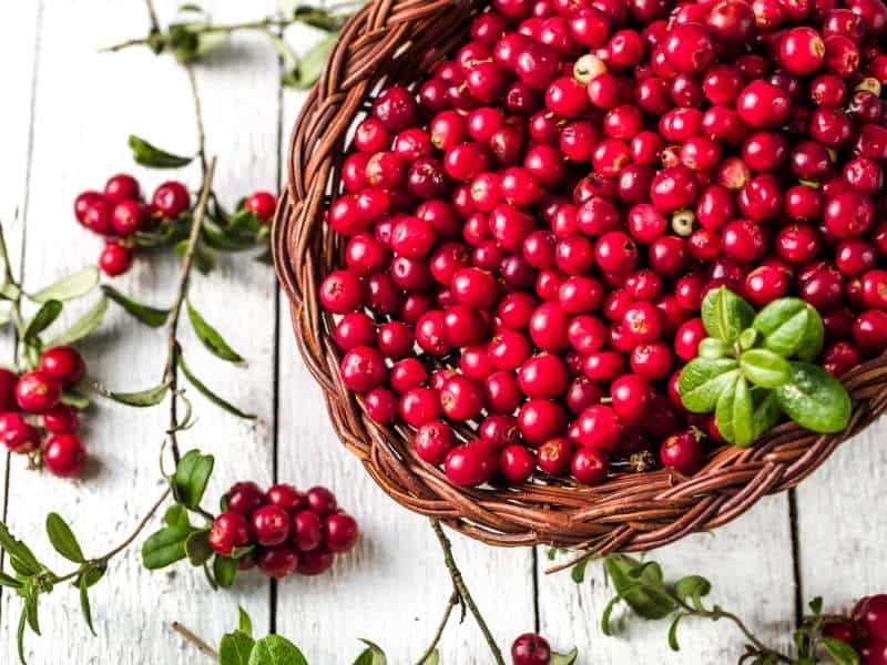 best small town fall festivals in wisconsin, bowl of cranberries