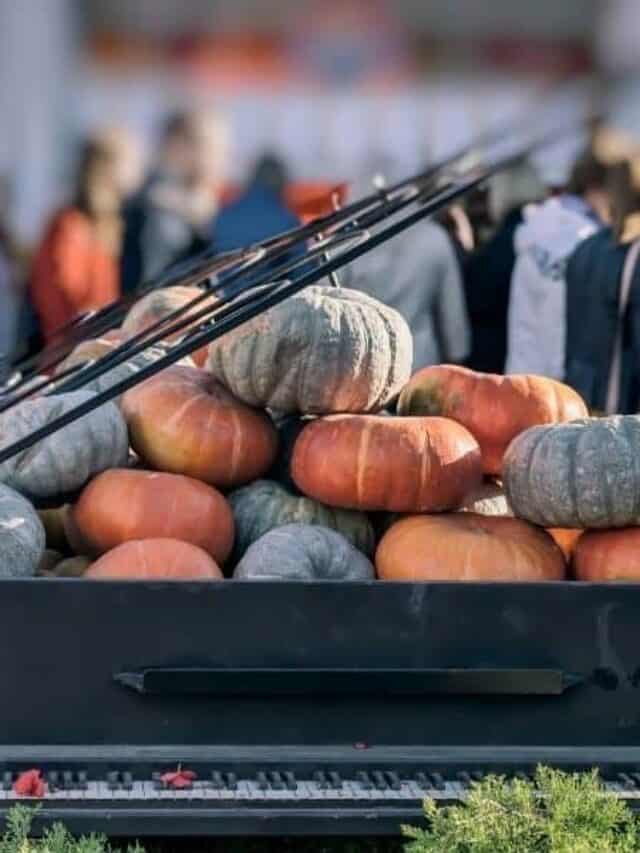 best fall festivals Milwaukee has, open piano full of orange and grey pumpkins