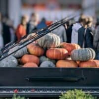 fall festival in wisconsin, open piano full of pumpkins