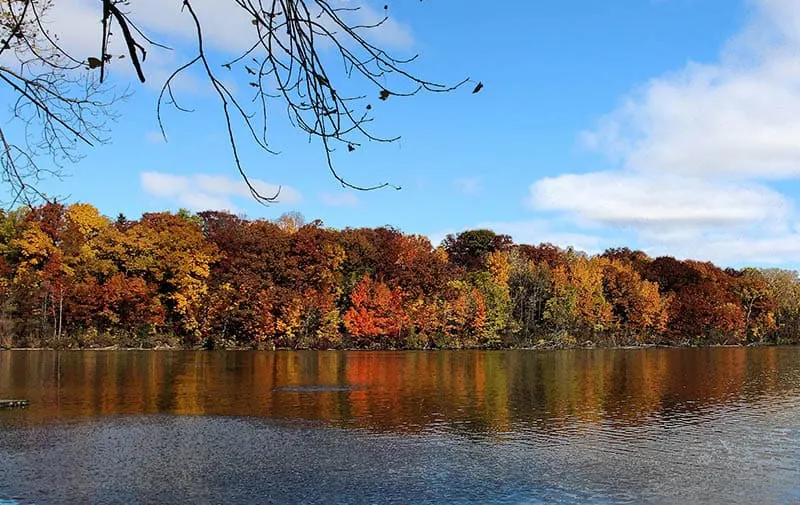 See all the beautiful rivers in appleton, Wisconsin, view of the Lower Fox River with a long bank of trees displaying a rainbow of fall colors sitting next to the calm waters of the river under a bright blue sky with white clouds