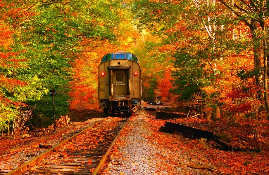 couples retreat in wisconsin, train surrounded by trees and fall colors