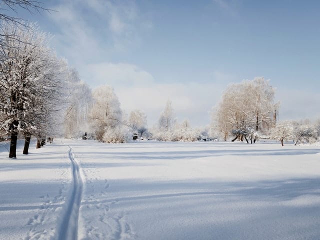 Wisconsin romantic getaways, White tree and snow field in Bayfield