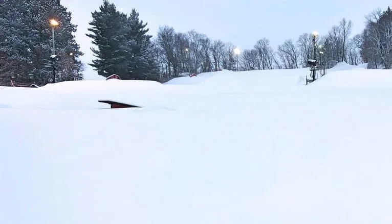 snow filled-space with pine trees and lights at Tyrol Basin - Mount Horeb