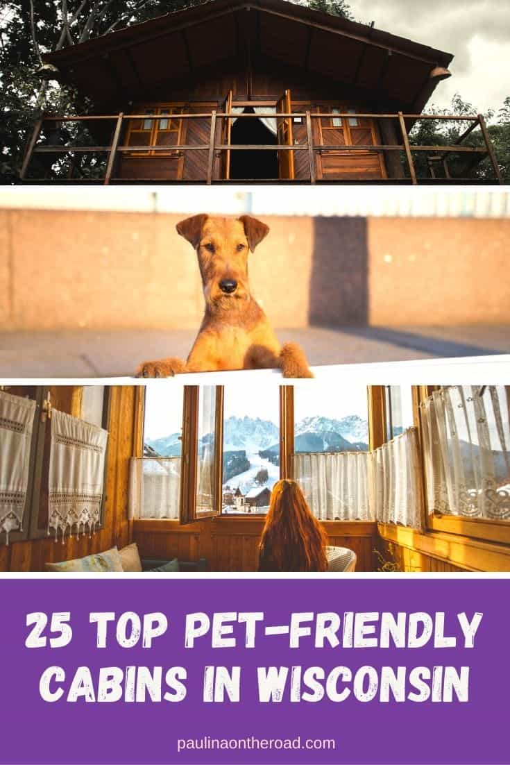 25 Best PetFriendly Cabins in Wisconsin Paulina on the road