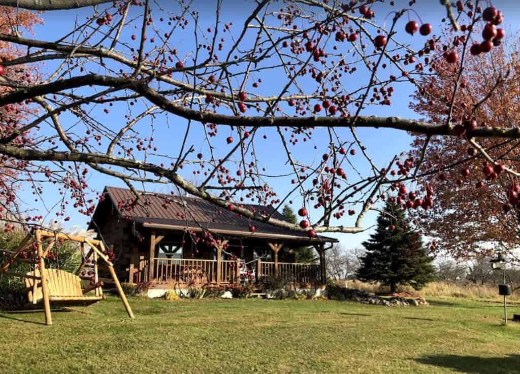 ridge cabin dog friendly wisconsin