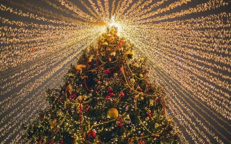 christmas getaways in wisconsin, worms eye view of christmas tree with full of light 