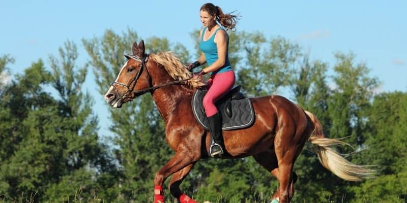 weekend getaways in central wisconsin, Girl riding a horse on the farm