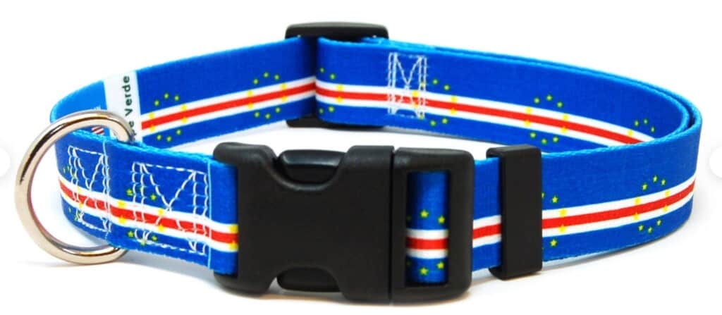 dog collar cape verde souvenir - 35+ Cool Cape Verde Souvenirs for Cape Verde Shopping