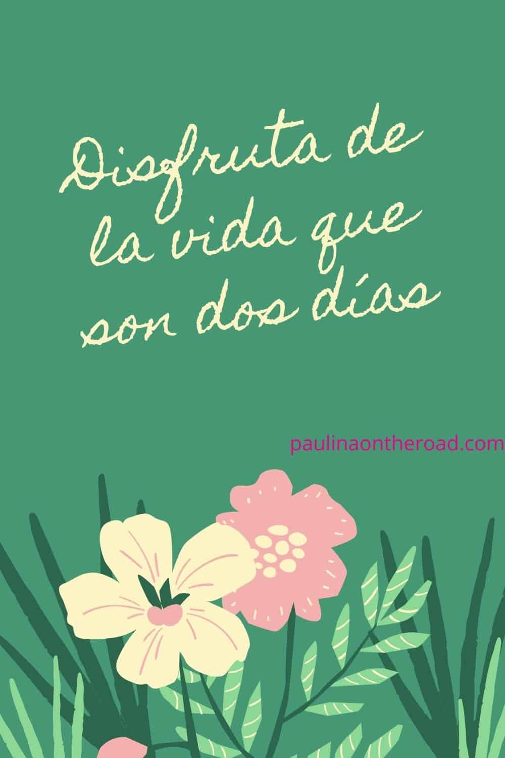 25 Positive Quotes in Spanish That Will Make Your Day! - Paulina on the